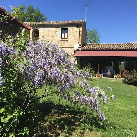 Fonte Di Boffa Morro dʼOro
